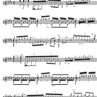 Grande Sérénade Op.30