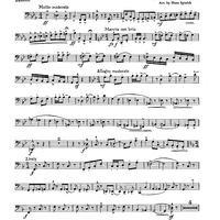 Of Thee I Sing - Bassoon