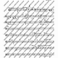 2. Concerto in C - Viola