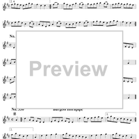 Nos. 323-340: Hornpipes and Clog Dances