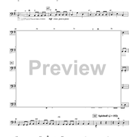 Medieval Wars - Double Bass