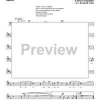 Belta poi che t'assenti - Bassoon