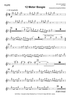 12 Meter Boogie - Flute