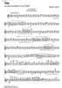 Trio - Flute