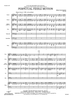 Perpetual Fiddle Motion - Score