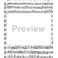 Mandolin & Guitar Collection No. 22 - Banjo Solo