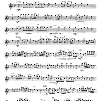 Concerto in F Major for Flute, Strings and Cembalo - Flute