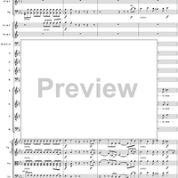 Mass in C Major, No. 6: Agnus Dei - Full Score