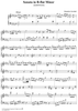 Sonata in B-flat minor  (K128/P199/L296)