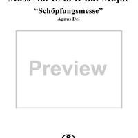 Mass No. 13 in B-flat Major: No. 6, Agnus Dei