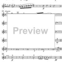 Concertpiece - B-flat Ripieno Cornet