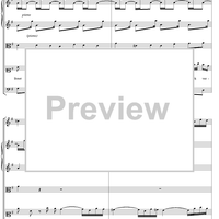 Weichet nur, betrübte Schatten, BWV202