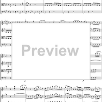 Eine kleine Nachtmusik - Score