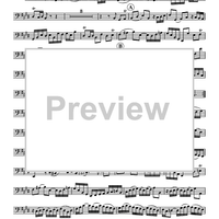 Sonata in E Major BWV 1035 - Tuba