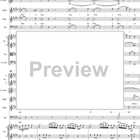 "O selige Wonne! Die glänzende Sonne steigt", No. 8 from "Zaide", Act 1, K336b (K344) - Full Score