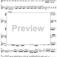 Sonata No. 1 in D Major - Flute