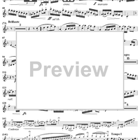 The Débutante - Cornet