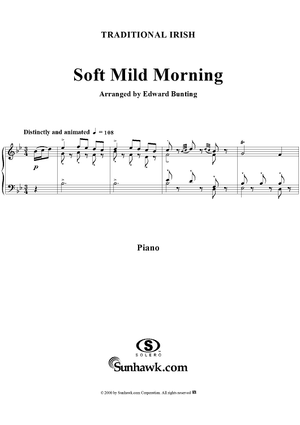 Soft Mild Morning