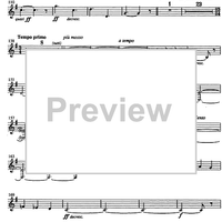 A Terpsichore - E-flat Contrabass Clarinet