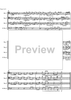 Allegro from a minor concerto - Score