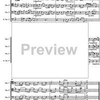 Allegro from a minor concerto - Score