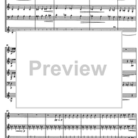 Divertimento Op.69 - Score