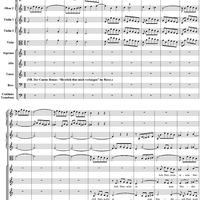 Ach Herr, mich armen Sünder - No. 1 from Cantata No. 135 - BWV135