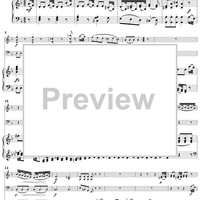 Piano Trio in D Major (HobXV/24) - Piano