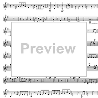 Sonata No.21 e minor KV304 - Violin