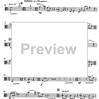 Música per a un estiu (Music for a Sommer) - Viola