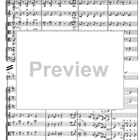 Contrabbasso concertante - Score