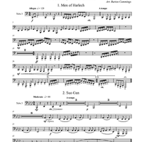 From Dylan's Land - Tuba 3