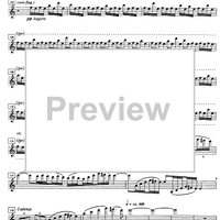 Scheherazade forteller videre - Violin