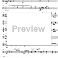 Suite per cinque - Viola