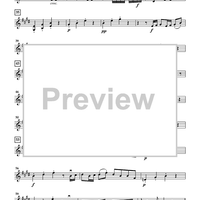 The Violin Concerti - Violin 2