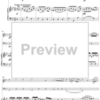 Piano Trio No. 1 in B-flat Major K254 - Piano Score