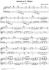 Sonata in E major - K20/P76/L375