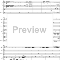 Flute Concerto No. 1 in G Major K285c (K313) - Full Score