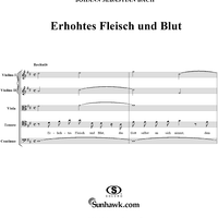 Erhöhtes Fleisch und Blut, BWV173