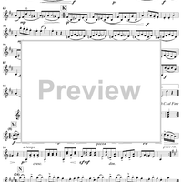 Duet in A Major, K331 - Violin 2