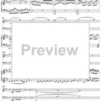 Piano Trio in D Major (HobXV/24) - Piano