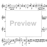 5 konzertante Rhapsodien