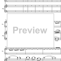 Argentinian Rhapsody - Score