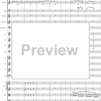 Mass in C Major, No. 6: Agnus Dei - Full Score