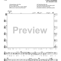 Mille volte il di moro - Viola