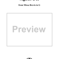 Mass (Missa brevis) No. 1 in G Major, Agnus Dei