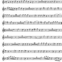 Divertimento No. 2 D Major KV131 - Horn in D 1