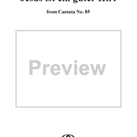 "Jesus ist ein guter Hirt", Aria, No. 2 from Cantata No. 85: "Ich bin ein guter Hirt" - Violin