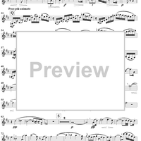 Clarinet Concerto No. 1 in F Minor, Op. 73 - Clarinet