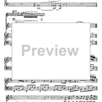 Ah, la pena in lor piombò